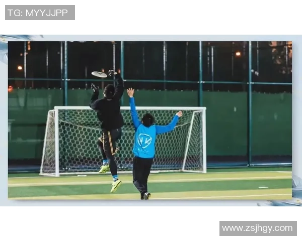 南京飞盘队状态分析与未来展望聚焦飞盘运动的热潮与发展